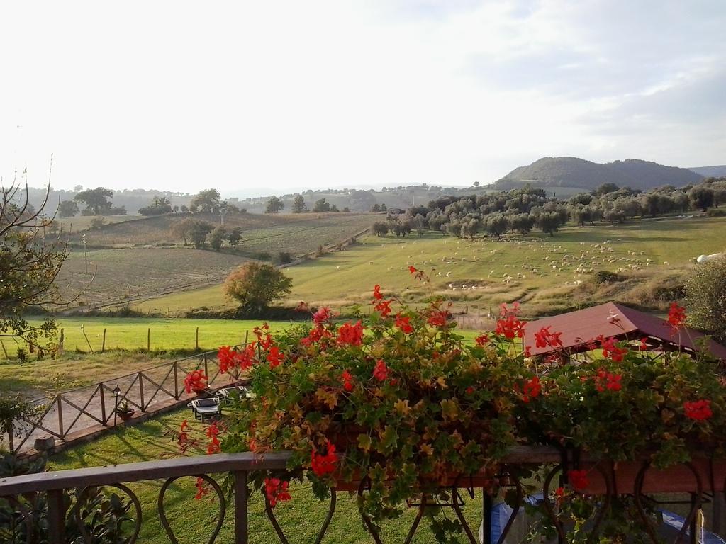 Agriturismo La Valle Degli Ulivi Semproniano Exterior foto