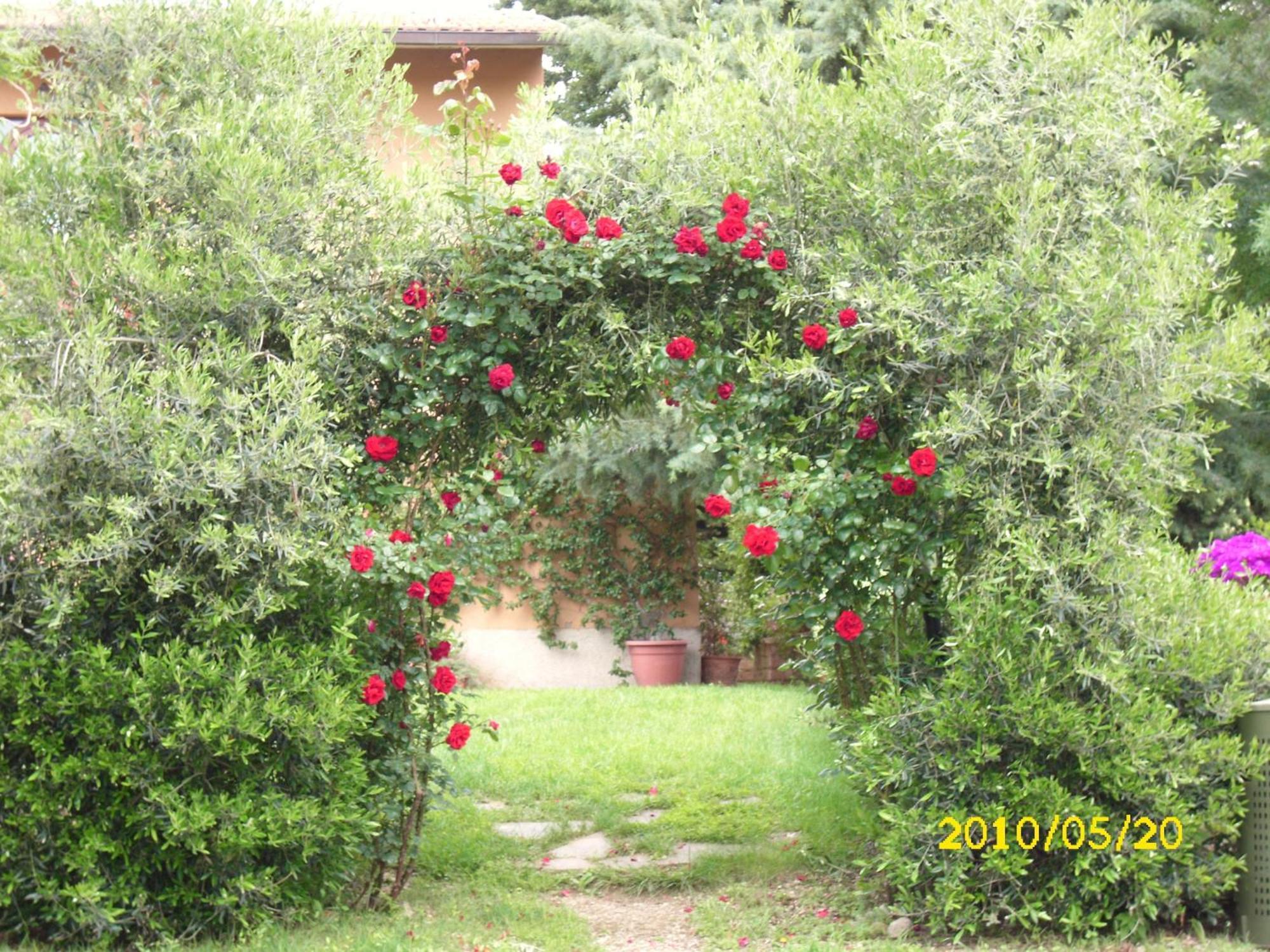 Agriturismo La Valle Degli Ulivi Semproniano Exterior foto