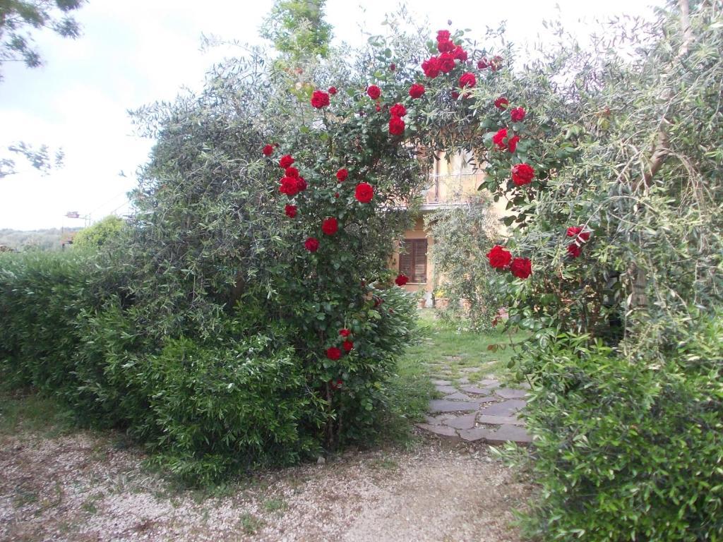 Agriturismo La Valle Degli Ulivi Semproniano Exterior foto