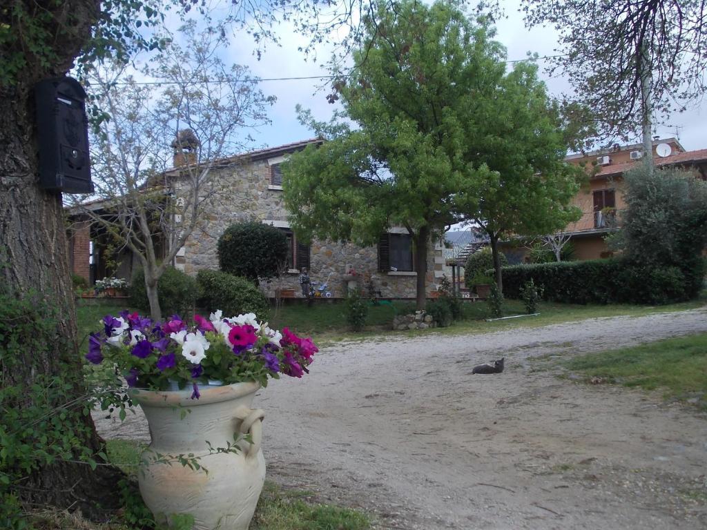 Agriturismo La Valle Degli Ulivi Semproniano Exterior foto